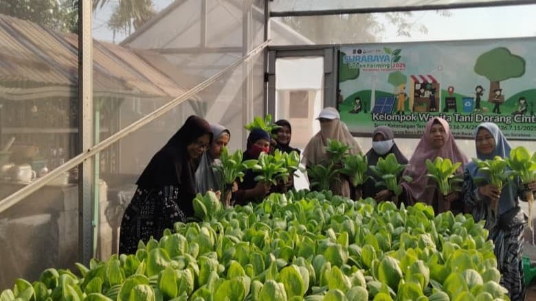 Panen Sayur Hidroponik Bersama